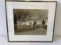 Front view of framed sepia photograph showing mat, frame and image