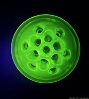 Top view showing hole pattern and UV fluorescence
