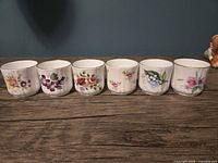 Front view of six floral bone china demitasse cups