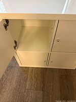 Interior view of door-fitted Kallax showing hinge hardware and shelf surface