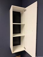 Cabinet open showing interior shelves and hinges