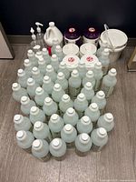 Group shot of all disinfectant bottles, wipes canisters, jug and accessories