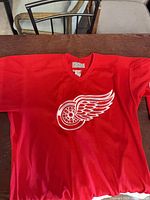 Front view showing Detroit Red Wings logo and overall condition