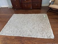Full view of beige shag rug on hardwood floor