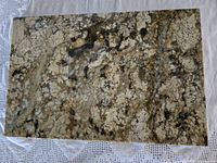 Top view of polished speckled granite slab