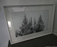 Full view of framed photograph showing image and white frame