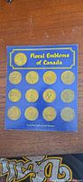 Full view of Floral Emblems of Canada display with 13 medallions