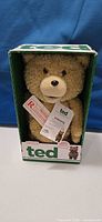 Front view of boxed Ted plush toy