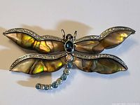 Front view of brooch showing abalone wings and rhinestones