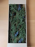 Garland inside open box showing cedar branches and berries