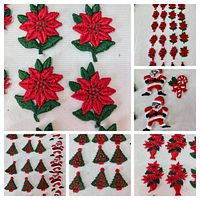 Close-up of poinsettia blossom patches