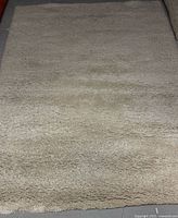Full view of rectangular taupe/beige shag rug