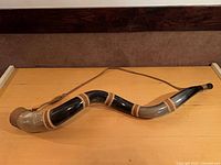 Full view of shofar showing overall length, curve and leather accents
