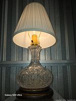 Lamp illuminated showing crystal body, brass socket, and shade