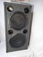 Front view of carpeted cabinet showing two 15-inch drivers with metal grilles and four bass ports