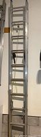 Full view of aluminum extension ladder leaning against wall