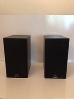 Front view of both Celestion SL6 speakers