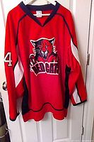 Full view of front of Athletic Knit Red Cats hockey jersey on hanger