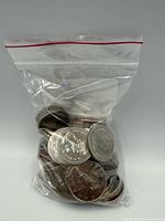 Front view of bag showing multiple Canadian one-dollar coins