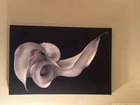 Full view of the canvas showing grayscale calla lily image