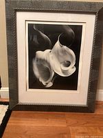 Entire framed black-and-white flower art facing camera