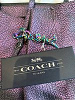 Close-up of tote exterior with Coach envelope and T-Rex charm