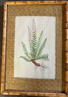 Full view of framed botanical watercolour, showing bamboo-style frame and woven mat