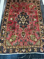 Full view of rug showing overall design and size