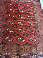 Full view of rug showing overall pattern and borders