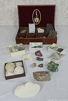 Overall view of open wooden box with nine compartments and assorted specimens on table