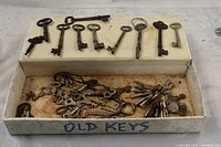 Tray with skeleton keys displayed on edge and assorted small keys inside