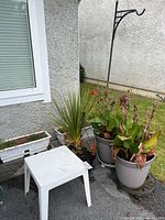 Two large grey potted canna lilies, black pot with geranium, white planter box, patio table, plant hanger visible