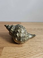 Side view of brass conch seashell showing overall shape and patina