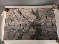 Full view of Brent Townsend loon printer’s proof lithograph