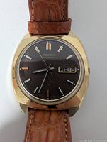 Front view showing brown sunburst dial, day-date window, gold-tone case and strap attachment