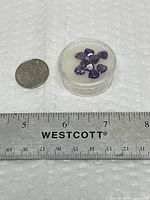 Eight faceted amethyst hearts in plastic gem jar beside coin and ruler for scale