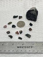 Group shot of all tourmaline pieces with coin and ruler for scale