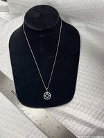 full view of necklace on display bust showing chain and pendant