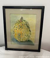 Front view of framed gourd watercolor painting