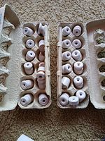 Two egg cartons holding 26 white porcelain spool insulators