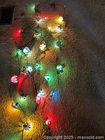 Both strands lit, showing multicolor bulbs with flower reflectors