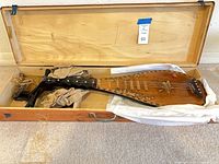 Lute inside hard wood case showing body and frets