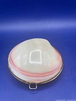 Top view of closed shell trinket box