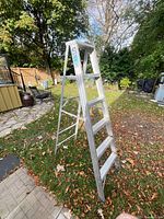 Full side view of Reynolds aluminum step ladder on lawn