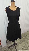Front view of Banana Republic black sleeveless fit-and-flare dress on mannequin