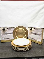 Stack of dinner plates, charger, two product boxes