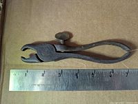 Full view of pliers beside ruler showing 0-6.5 inch length