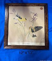 Full view of framed American Goldfinch print showing image, frame, size reference and water stain