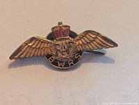 Front of RAF BWRS brooch showing wings, crown and RAF lettering