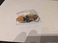 Keychain in sealed bag, front jet graphic visible